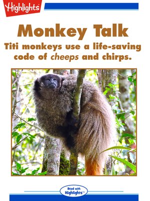 cover image of Monkey Talk